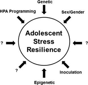 Resilience and Stress in UCL Adolescents Imaging the Impact