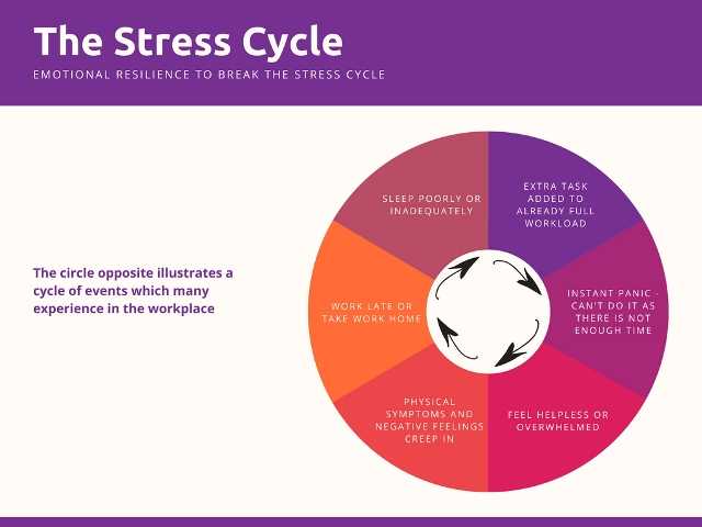 Definition of Stress Resilience