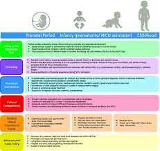 Effective Programs for Stress Resilience in Pregnancy