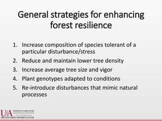 Enhancing Tree Stress Resilience A Comprehensive PowerPoint Presentation