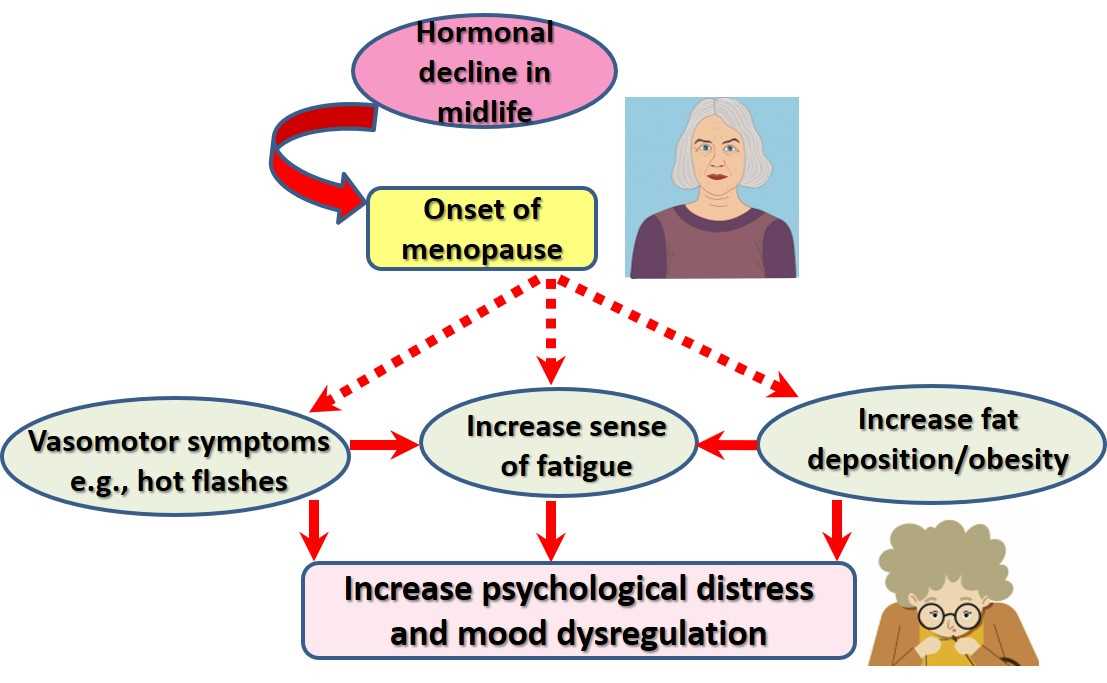 The Effects of Menopause on Stress Resilience