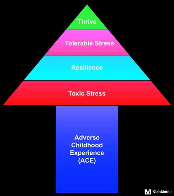 Overview of Different Types of Stress