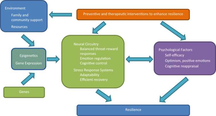 Individual Level Resilience