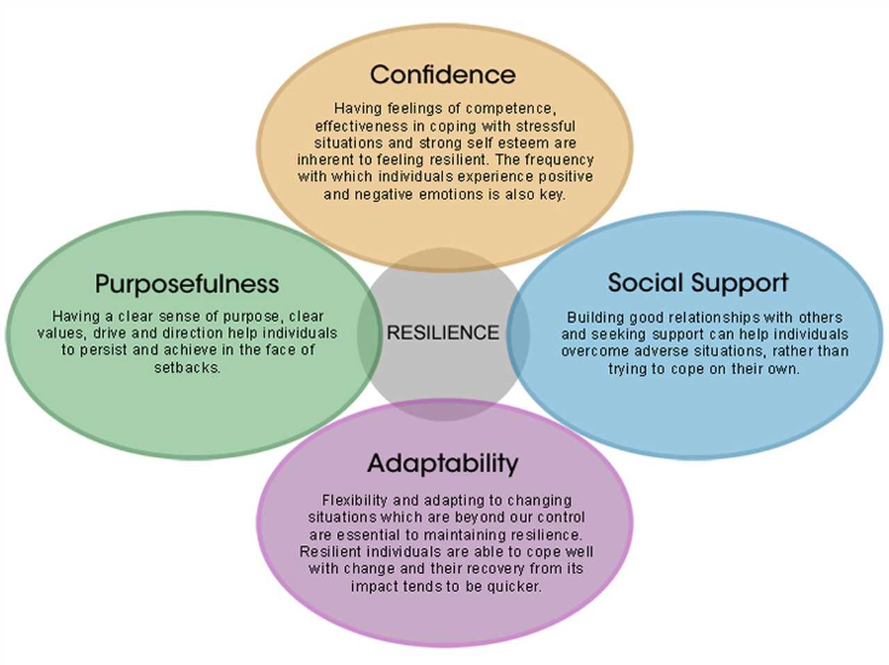 Understanding the Traits of Resilient Individuals