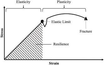 Causes of Negative Resilience
