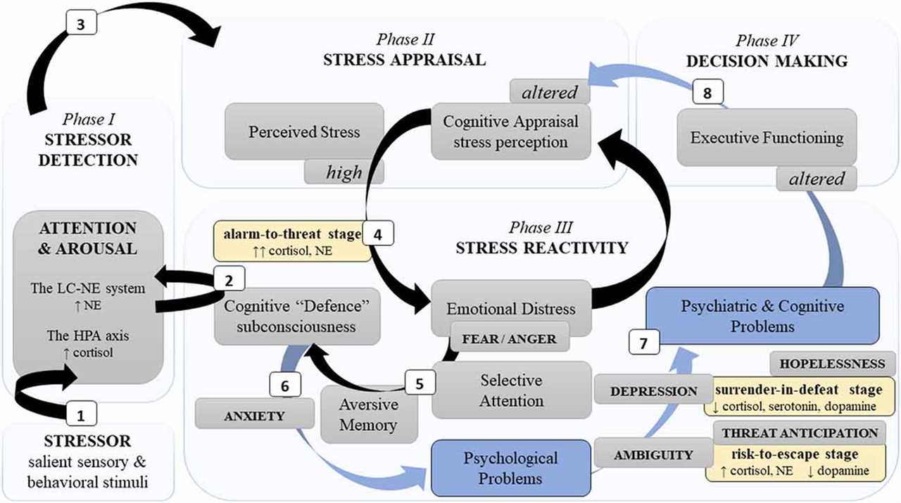 Identifying and Managing Stressors