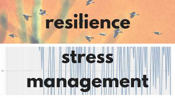 Building Stress Resilience with the Stress Resilience Net