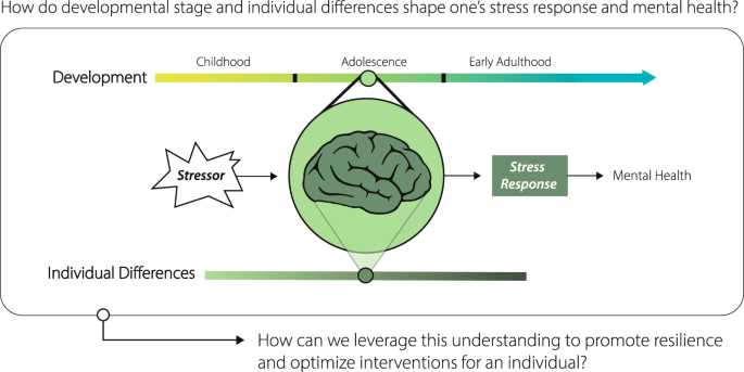 What is Stress Resilience?