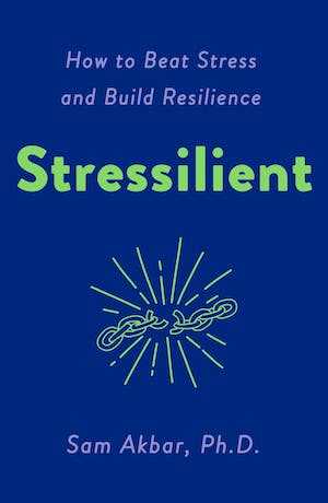 Factors Affecting Stress Resilience