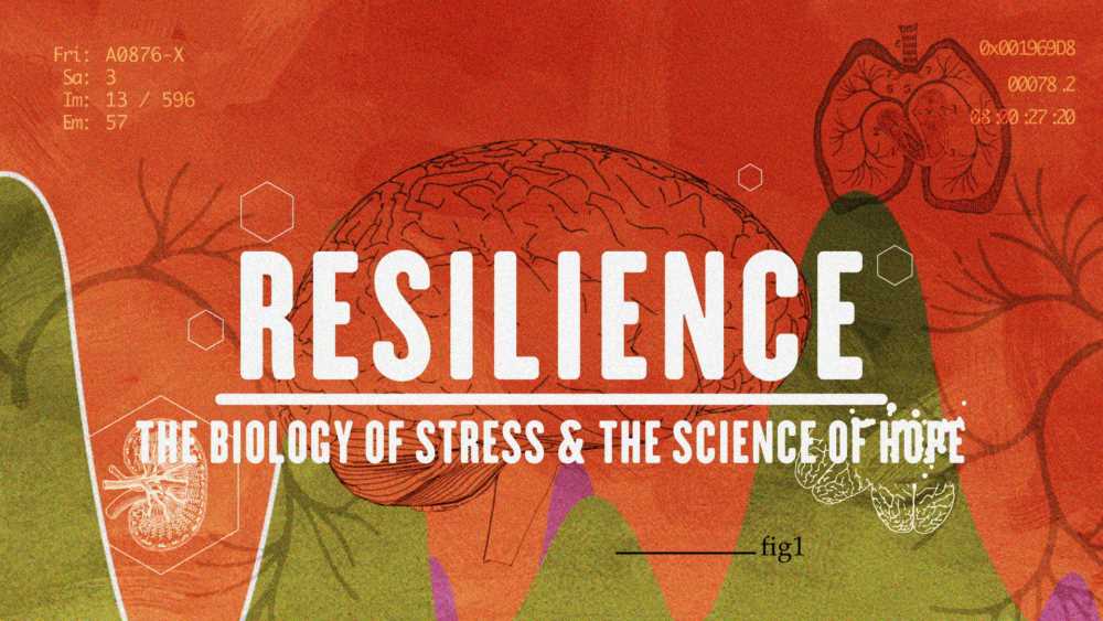 The Role of Resilience in Coping with Stress