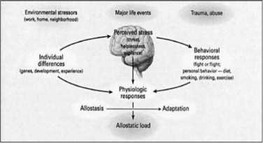 Understanding Allostatic Load and Building Resilience to Toxic Stress