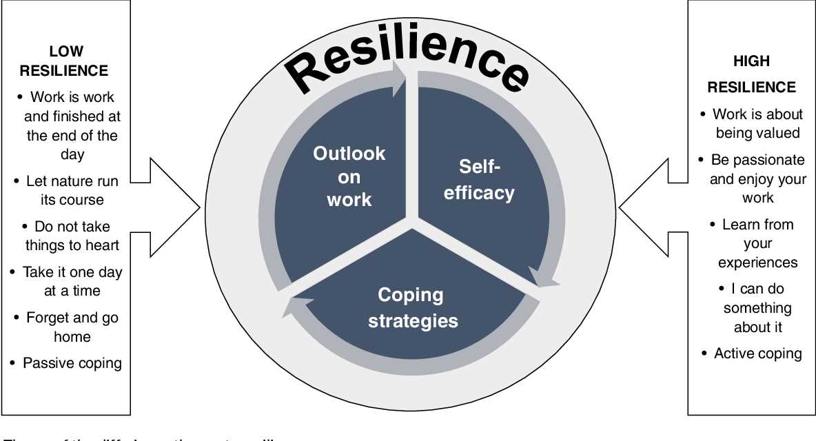 Understanding Polk Resilience Theory A Guide to Nursing Stress Management