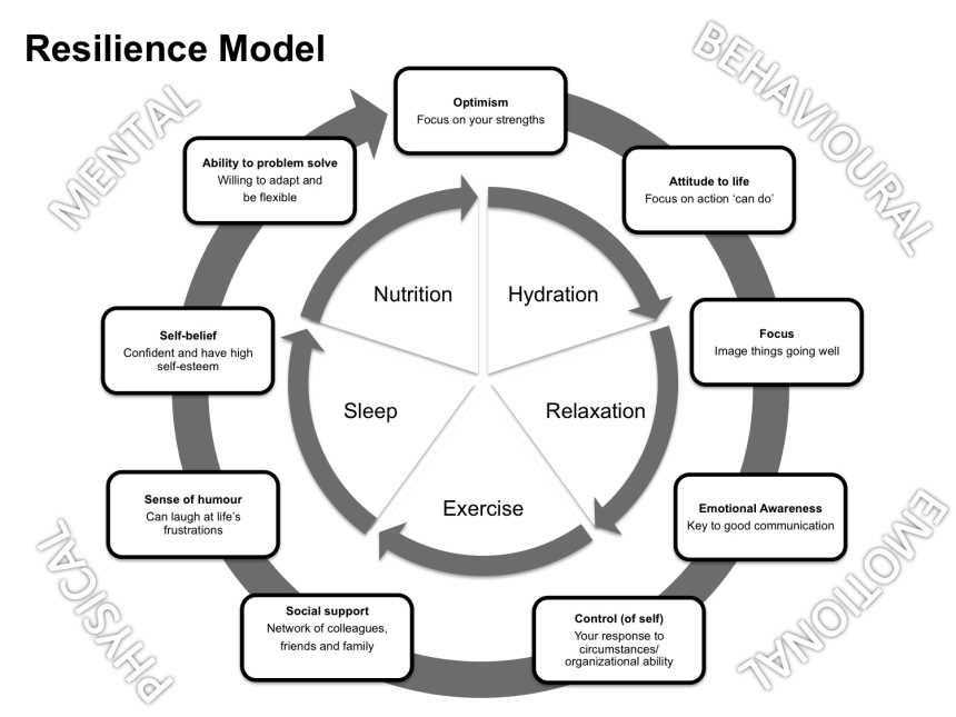 What is Polk Resilience Theory?