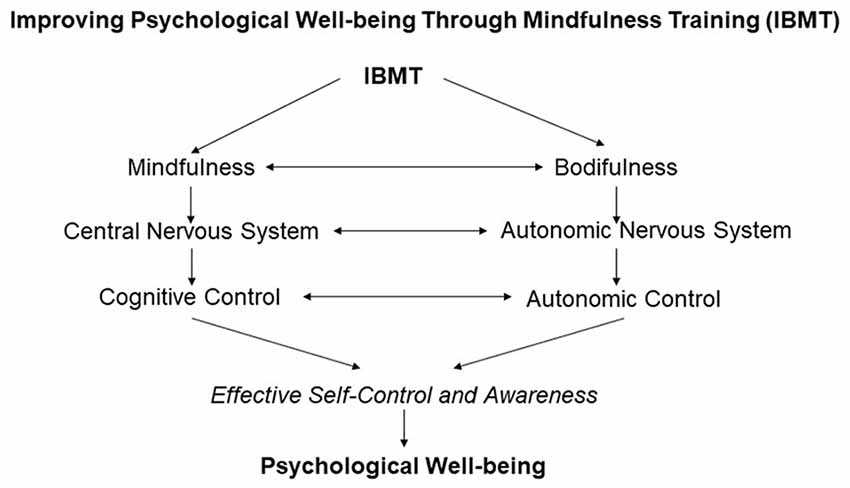 Promoting Emotional Resilience Cognitive-Affective Stress Management Training