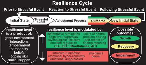 The Resilience Framework A Powerful Strategy to Combat Stress-Related Disorders