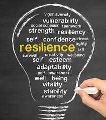 What is Survivor Resiliency?