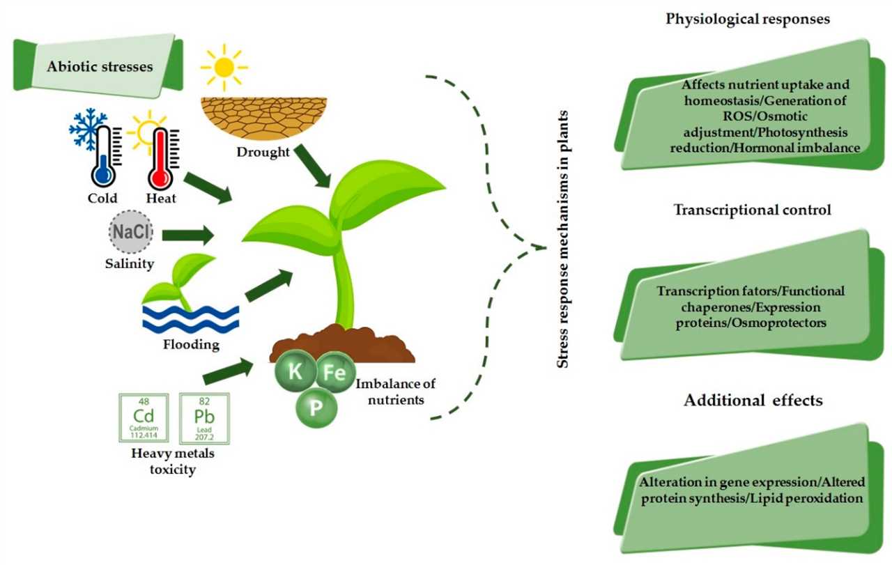 Importance of Plant Stress Resilience