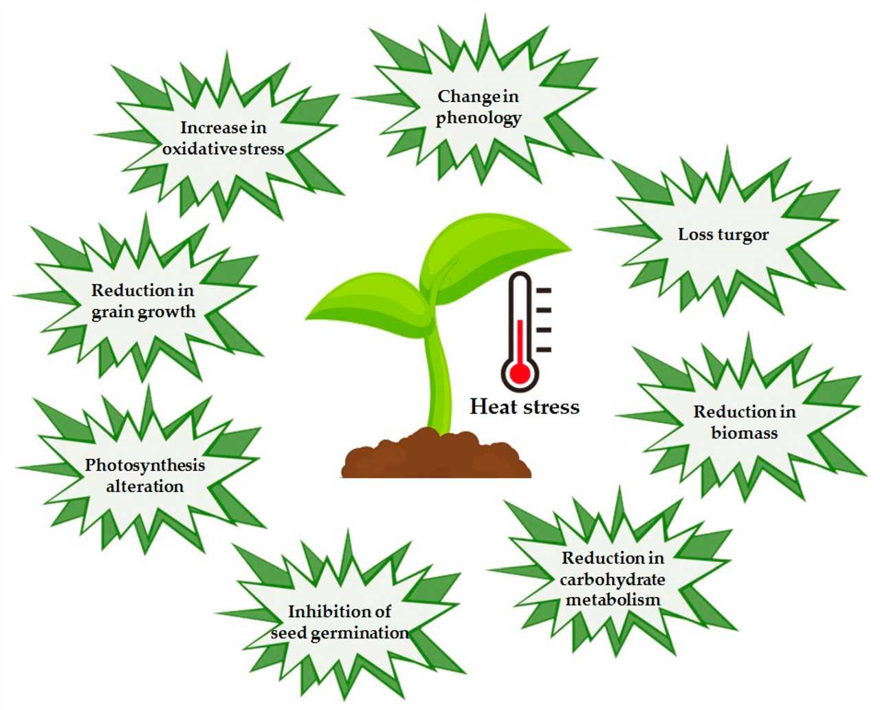 Strategies for Enhancing Plant Stress Resilience