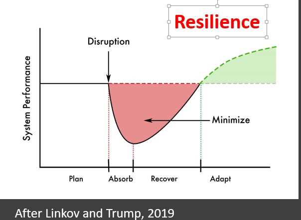 Understanding Resilience Dealing with Shocks and Stresses