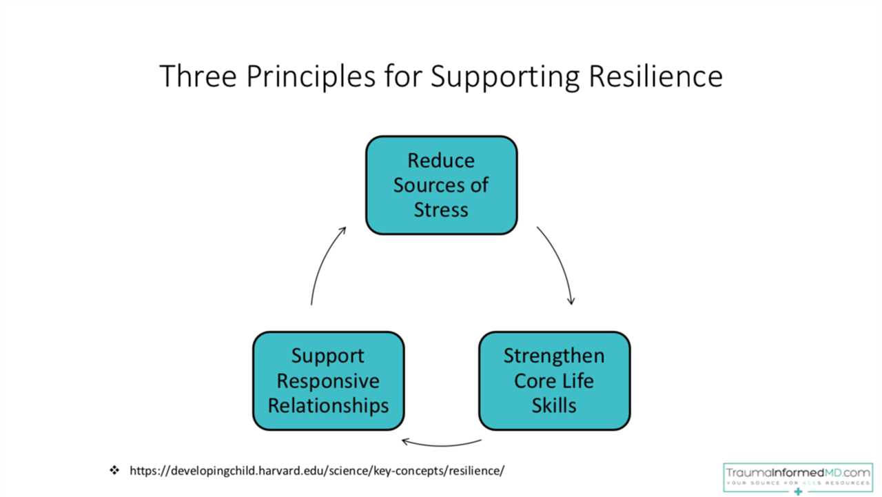 Understanding the Resilience Model of Family Stress Building Stronger Bonds