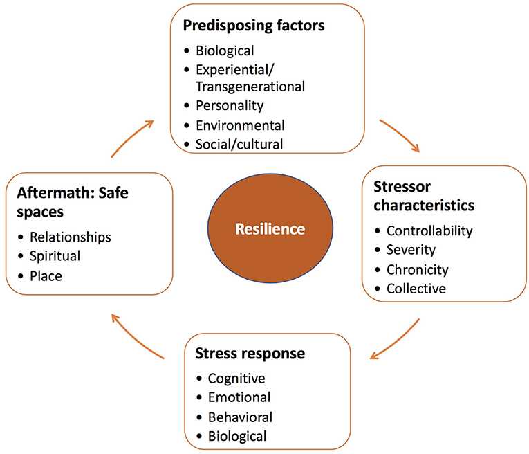 Understanding Bdnf and its role in stress resiliency