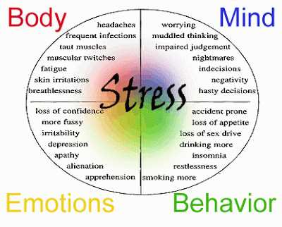 Creating an Effective Stress Management Plan Example and Tips