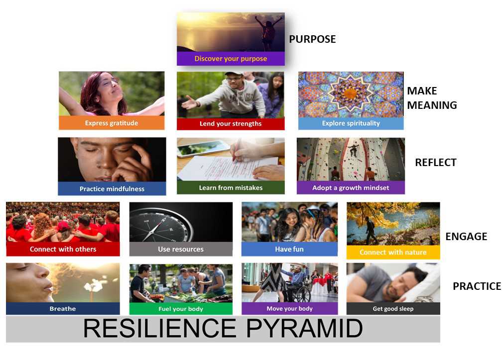 How to Improve Resiliency in Stressed Students Effective Strategies