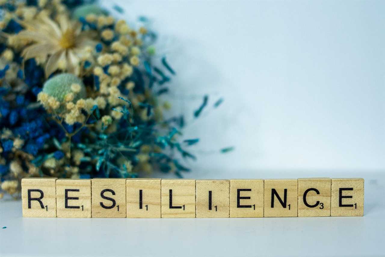 Understanding Resilience