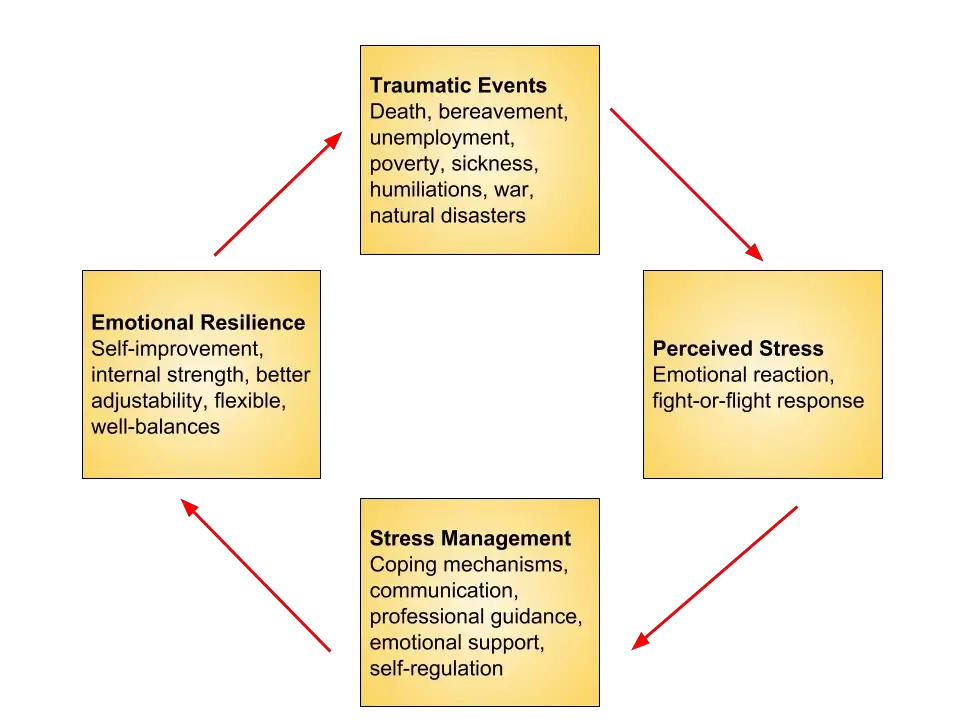 Cognitive Resilience to Stress Building Mental Strength