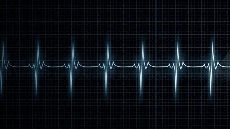 Factors Affecting Heart Rate Variability