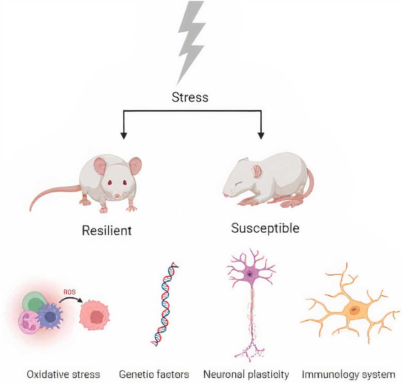 Factors Influencing Resilience