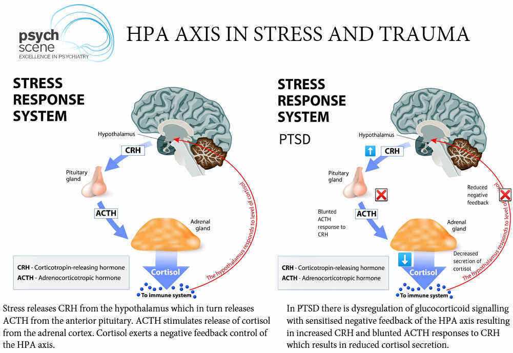 Psychological Factors and Resilience