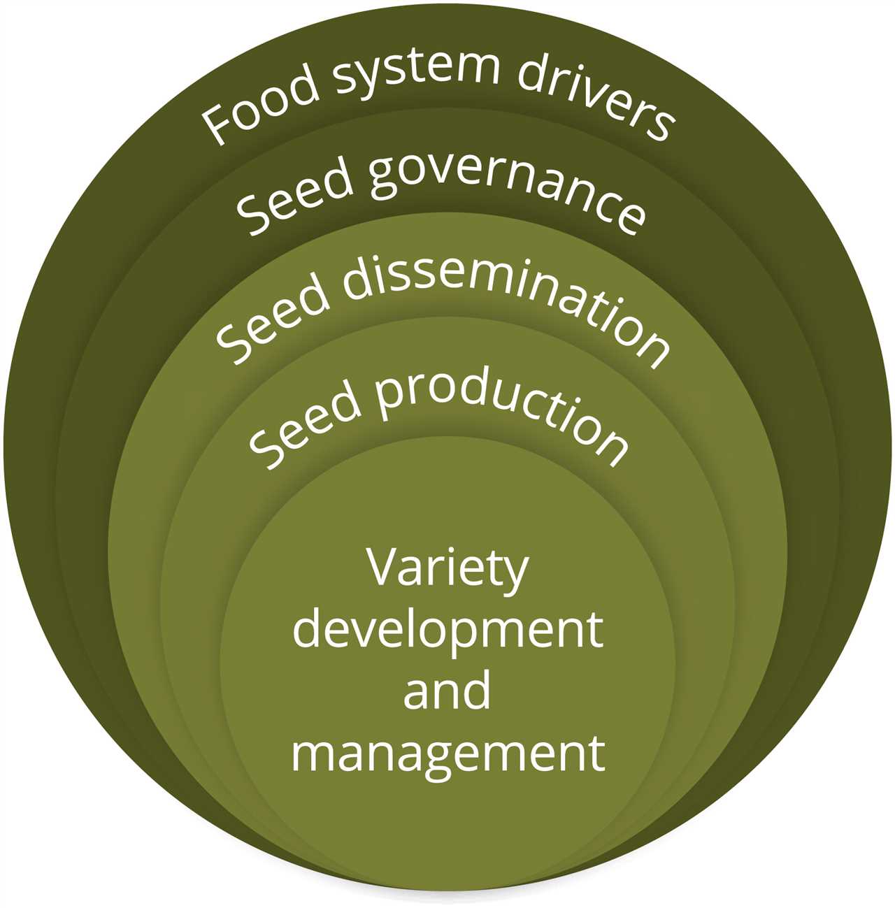 Making Seed Systems More Resilient to Stress Strategies for Success
