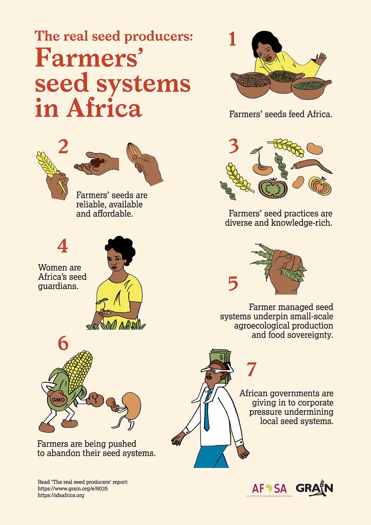 Strategies for Building Resilient Seed Systems