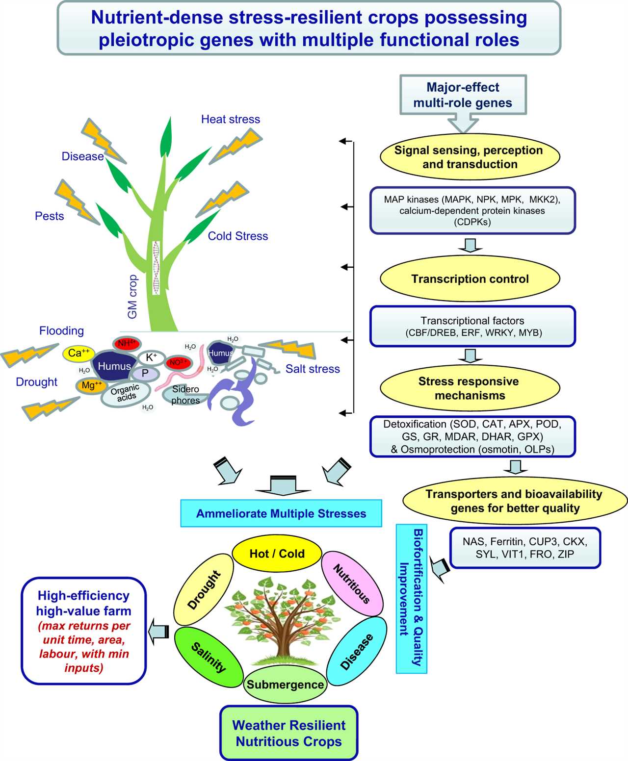 Diversification of Seed Sources