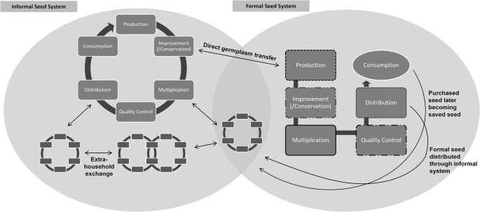 Strengthening Seed Storage and Distribution Infrastructure