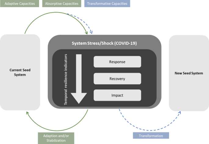 Success Stories: Examples of Resilient Seed Systems