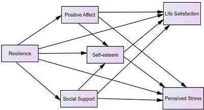 Resilience and Stress A Cross-Sectional Study Relationship